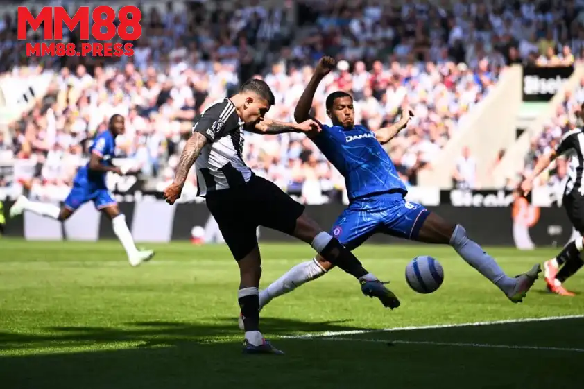 Chelsea và Newcastle dễ chia điểm ở trận đấu này. Chelsea và Newcastle dễ chia điểm ở trận đấu này.